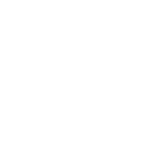 Anneau de Précision