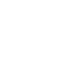 Anneau de Vitalité